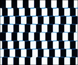 illusion d'optique les droites p